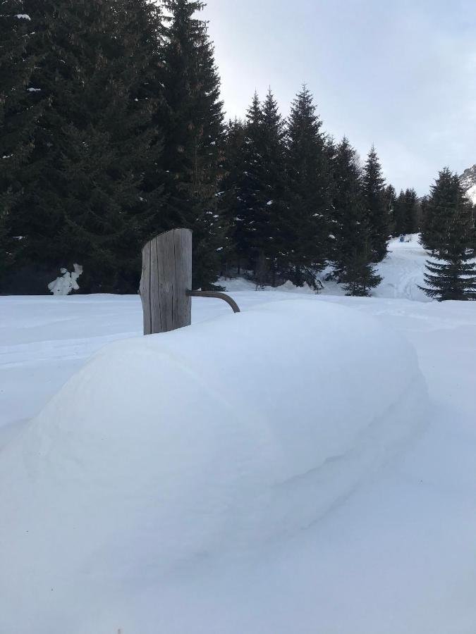 Chalet Apartment Gran Zebru Oga Zewnętrze zdjęcie